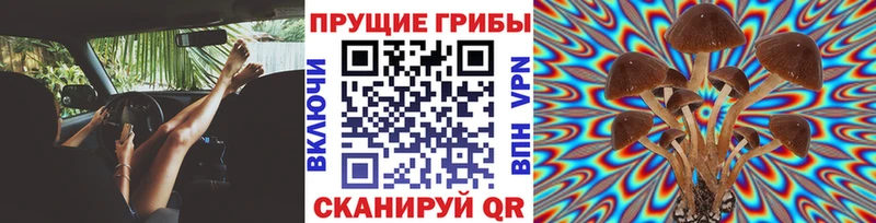Псилоцибиновые грибы Psilocybine cubensis  закладки  Каменск-Уральский 