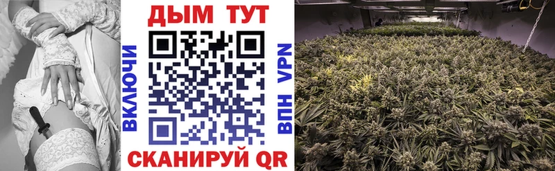 Бошки марихуана THC 21%  Каменск-Уральский 